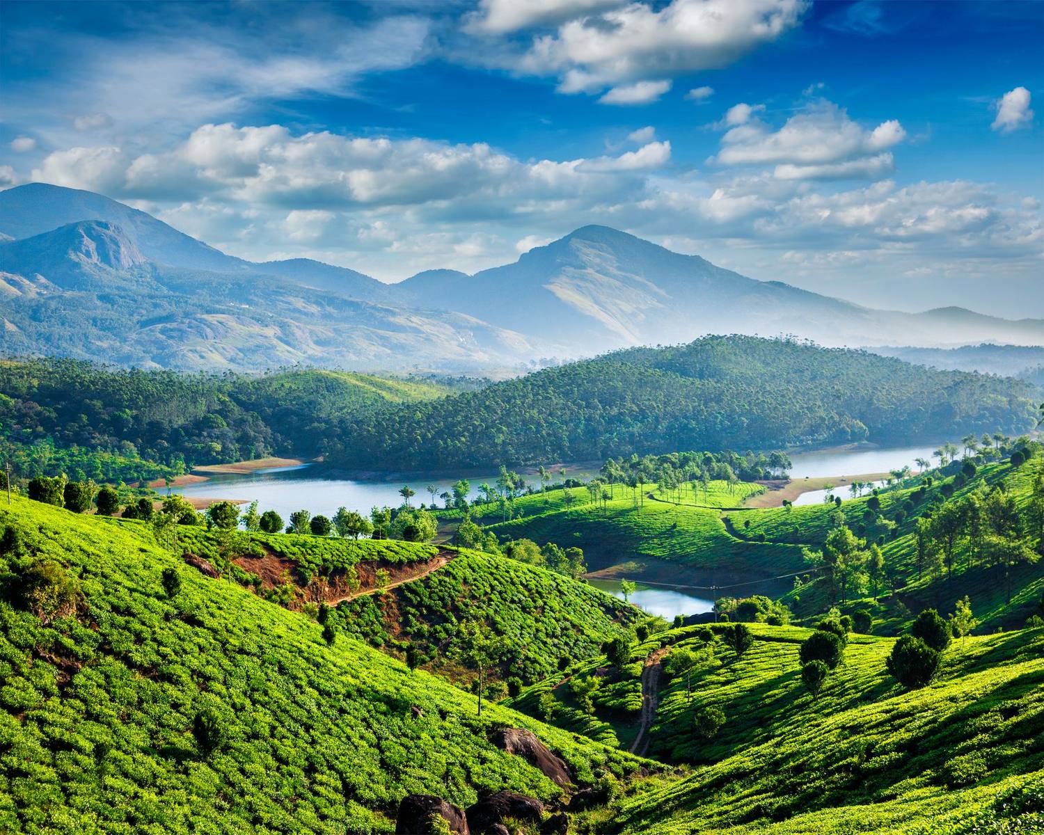 Kerala's Hidden Highlands